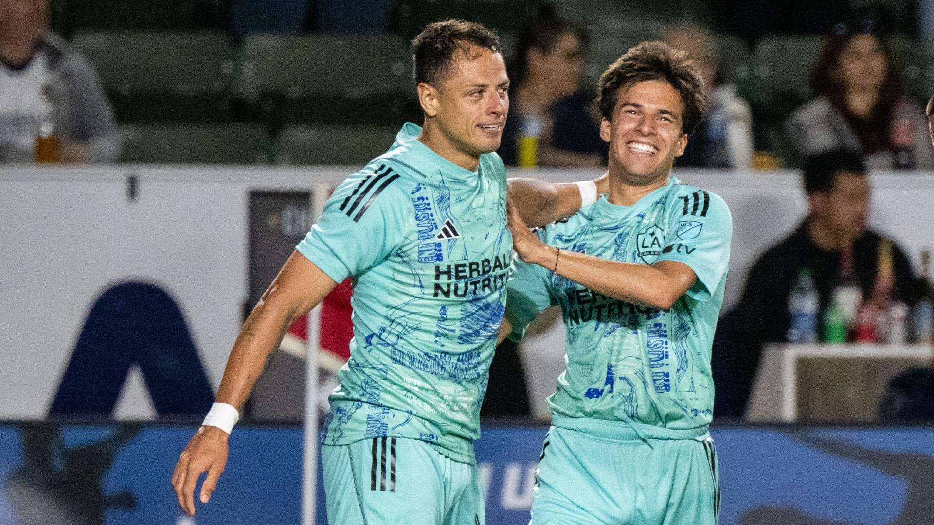 了自己的地 了自己的地