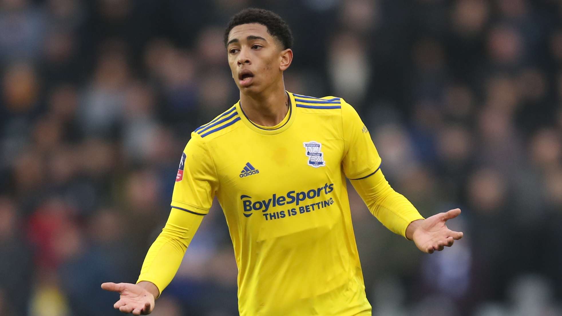 注的世界级 注的世界级