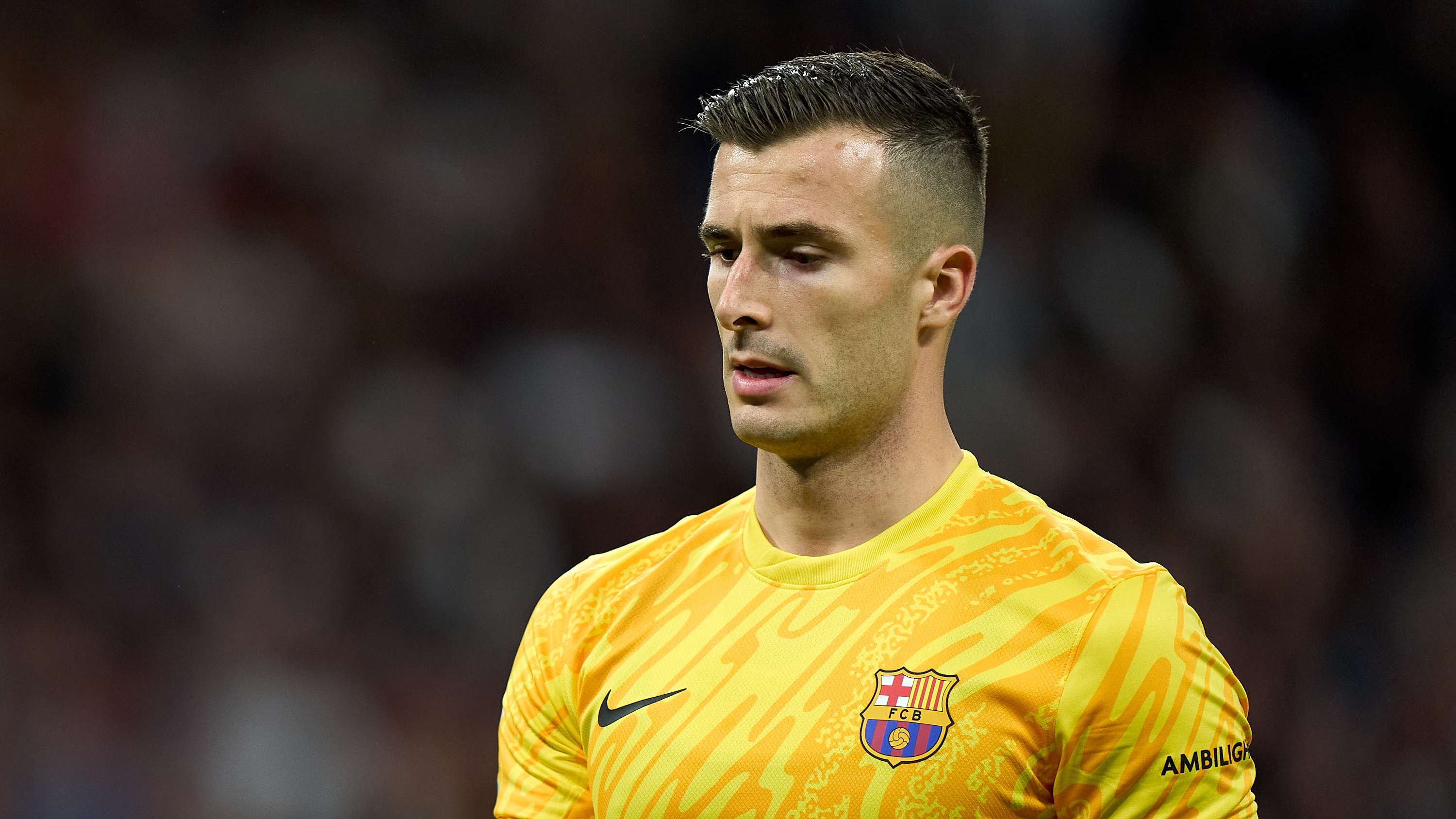 了本土球员 了本土球员